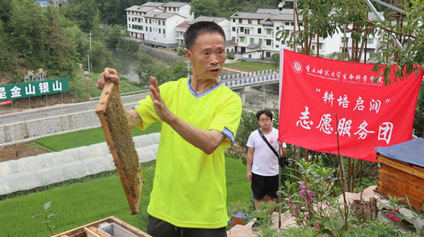 蜂农展示蜂箱内部结构。一分三块（中国）官方网站供图